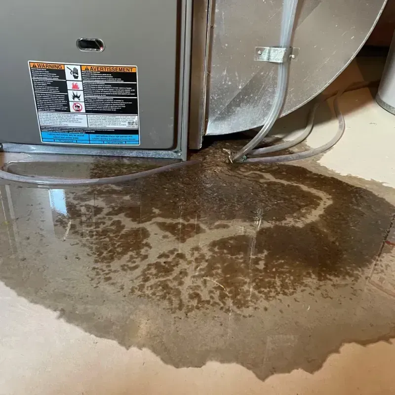 Appliance Leak Cleanup in Scott County, VA